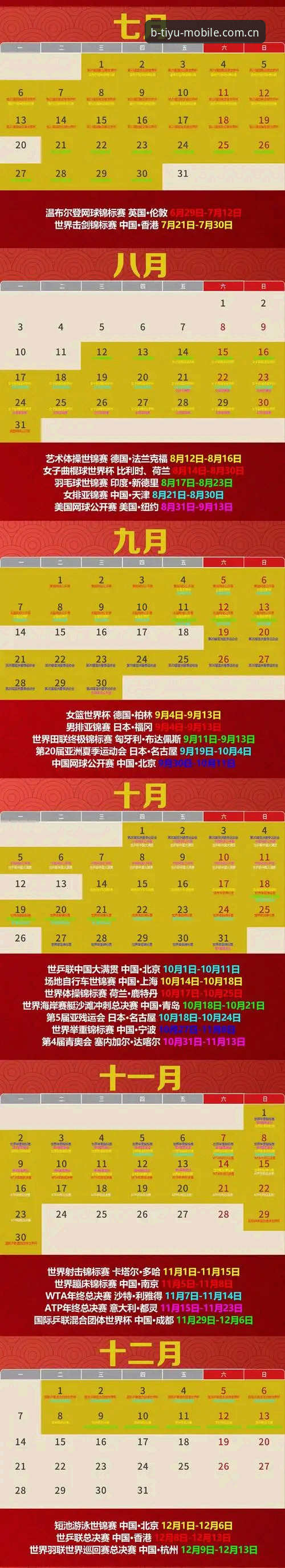 B体育平台2026新版vs旧版：老用户告诉你哪个更值得选择？